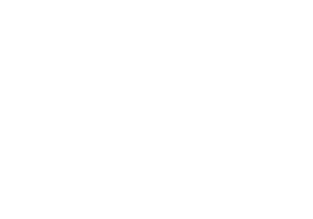 PJ Expedis